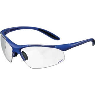 Schutzbrille DAYLIGHT PREMIUM