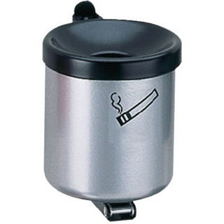 Wandascher mit Kippvorrichtung TKG