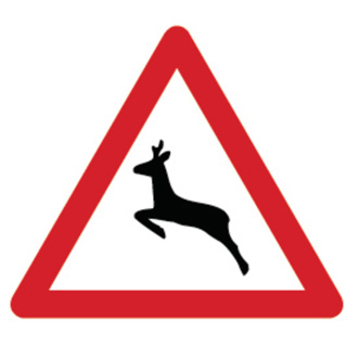 Signal 1.24 Wildwechsel