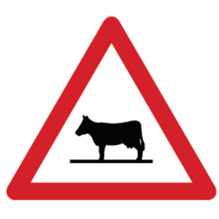 Signal 1.25K Tiere (Kuh)