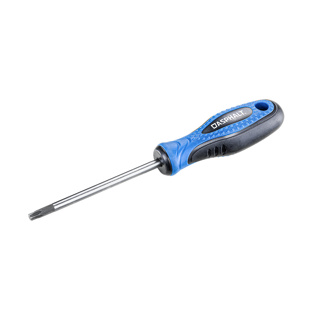Schraubendreher, Torx