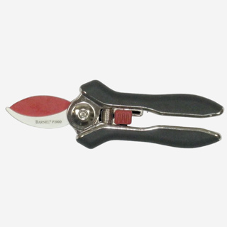 Mini Schere "2000 SL"