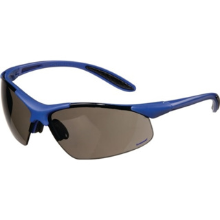 Schutzbrille DAYLIGHT PREMIUM