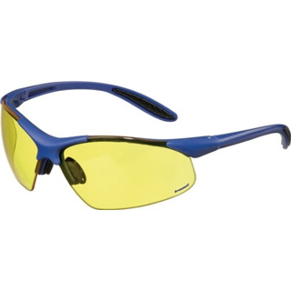 Schutzbrille DAYLIGHT PREMIUM